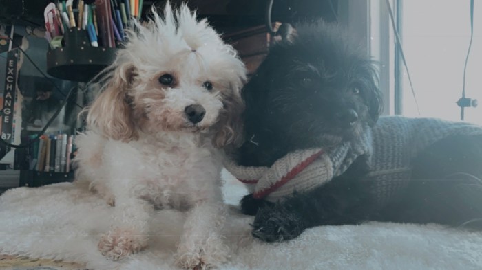 92D513B7-B614-4BE3-8F35-93B88C6C10E1